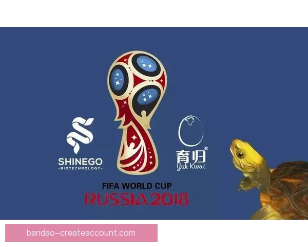 世界杯足球竞猜入口全面指南助你轻松掌握赛事投注技巧